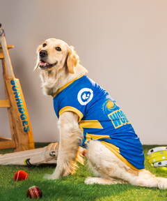 Mumbai Woofians IPL Dog Jersey