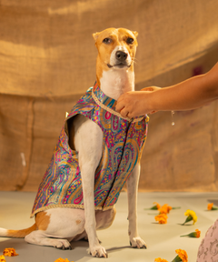 Dog Kurta with Pocket Square Neelam