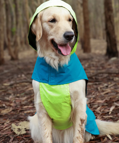 Splash-Proof Neon Blue- Dog Raincoat