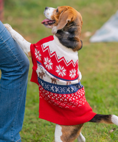 Ember Dog sweaters Pack of 2