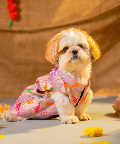 Dog Kurta with Bowtie Purple