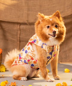 Embroidered Dog Kurta Beige
