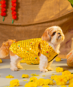 Dog Kurta Yellow