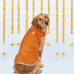 Pet Set Go Dog Kurta (Bright Orange)