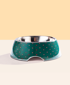 2-in-1 Melamine Dog Bowl Hearts