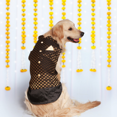 Dog Kurta with Bowtie Orange