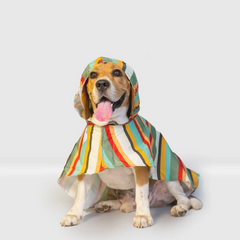 Dinosaur Printed Cape Style Dog Raincoat