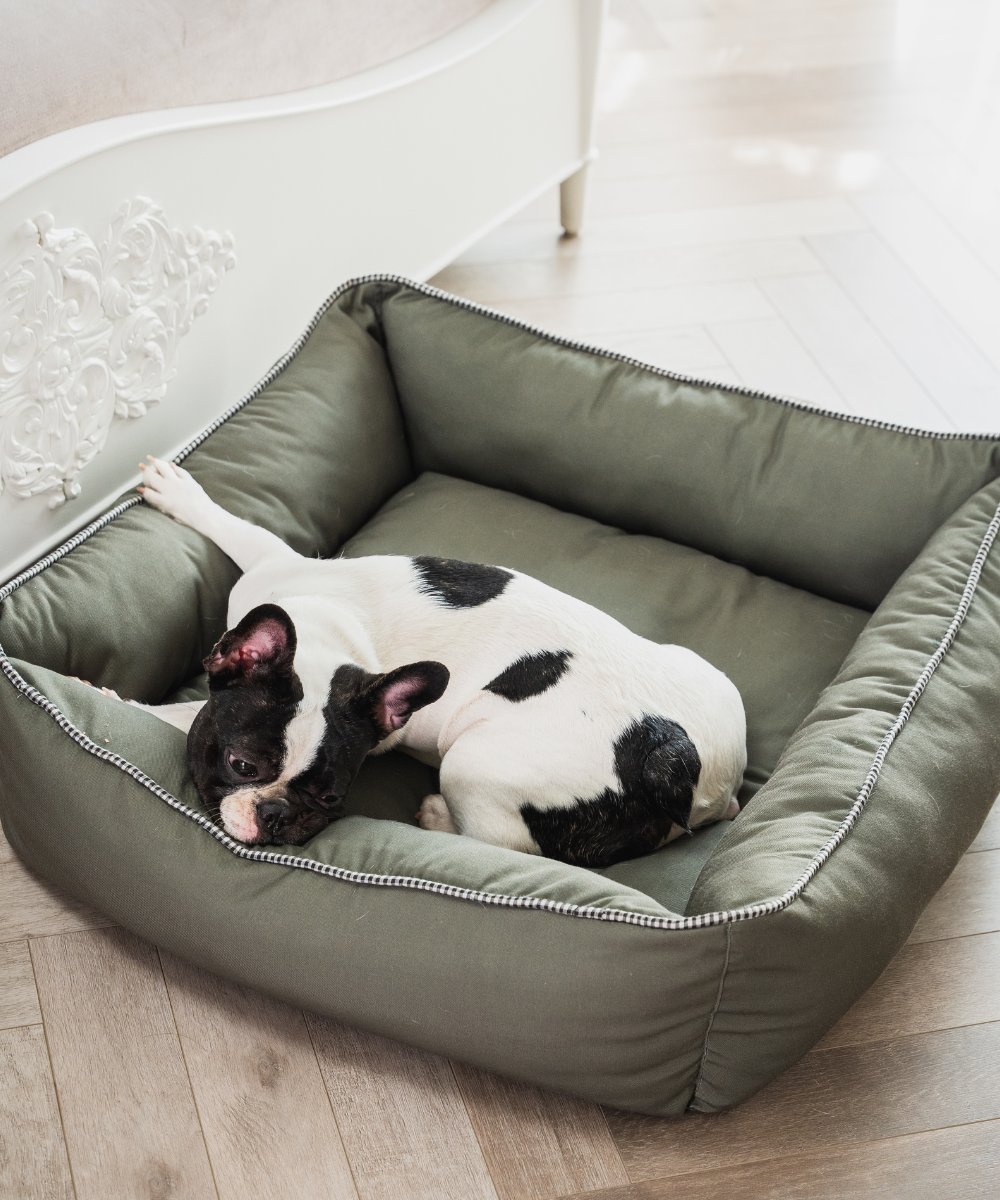 The Olive Lounger Dog Bed - Main Image