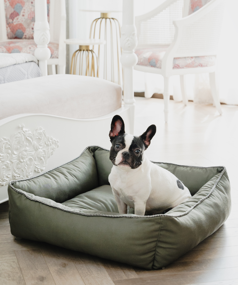 The Olive Lounger Dog Bed - Main Image