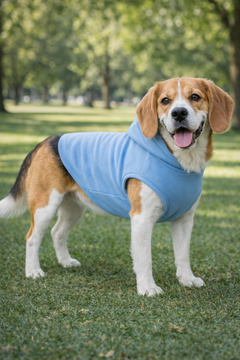 Pet Set Go Dog Hoodie (Pastel Blue)