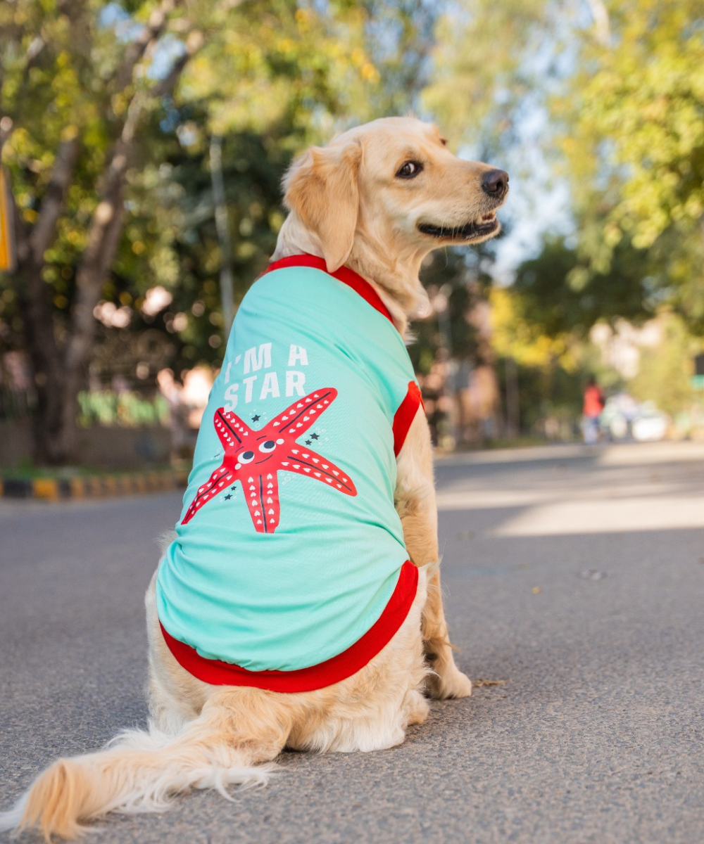 I'm a Star Dog T-shirt Soft, Stylish Fit All Breeds – Pet Set Go