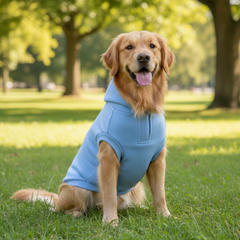 Pet Set Go Dog Hoodie (Pastel Blue)
