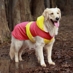 Splash-Proof Neon Blue- Dog Raincoat