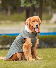 Dog Jacket