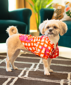 Gingham Garden Shirt