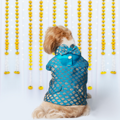 Dog Kurta with Bowtie Blue