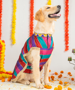 Eira Dog Kurta