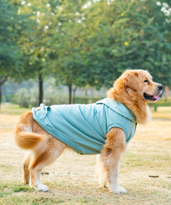 Teal Dog Hoodie