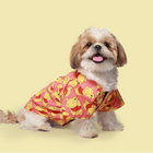 Pooh Cotton Shirt