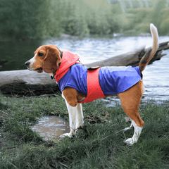 Pet Set Go Dog Raincoat (Red & Blue) (Copy)