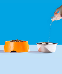 2-in-1 Melamine Dog Bowl Orange