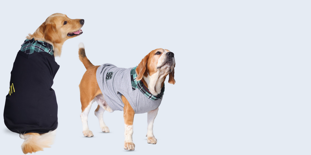 Pet Set Go - Pet Clothing, Pet Toys and Pet T-shirts