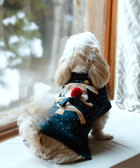 Snowy Sweater