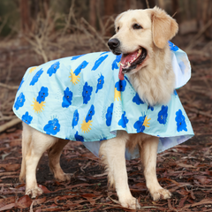 Dinosaur Printed Cape Style Dog Raincoat