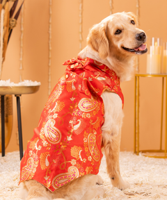 Dog Kurta with Bowtie Red