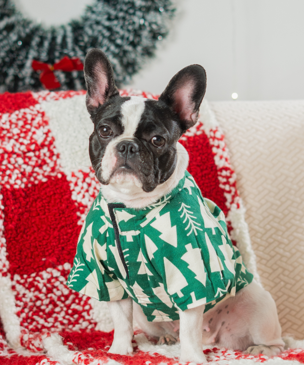 Xmas Tree Dog Shirt - Main Image