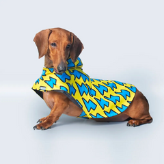 Dinosaur Printed Cape Style Dog Raincoat