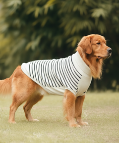 Classic Stripe Knit Sweater