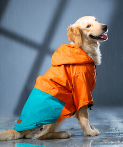 Full-Coverage Dog Raincoat: Orange-Blue