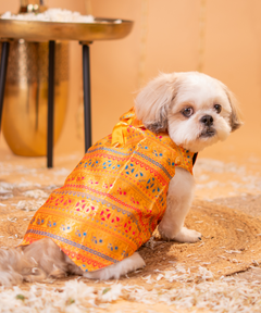 Dog Kurta with Bowtie Red