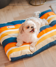 Sunny Stripes Flat Dog Bed