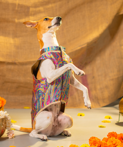 Dog Kurta with Pocket Square Neelam