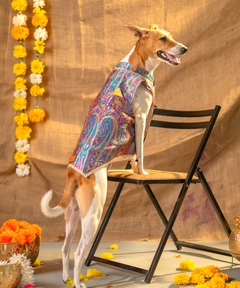 Dog Kurta with Pocket Square Neelam