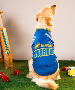 Mumbai Woofians IPL Dog Jersey