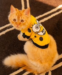 Sponge bob Cat T-shirt