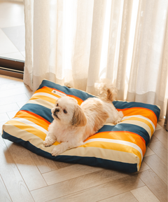 Sunny Stripes Flat Dog Bed