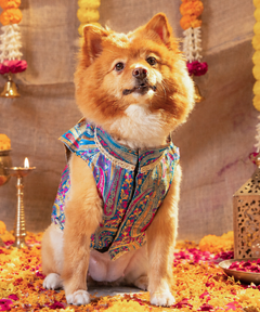 Dog Kurta with Pocket Square Neelam