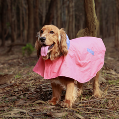 Puddle Pooch Dog Raincoats Pack of 2