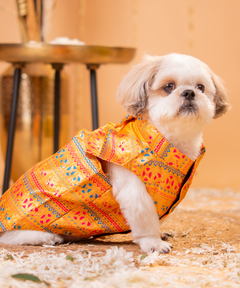 Elegant Dog Kurtas Pack of 2