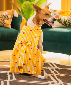 Golden Hour Dress