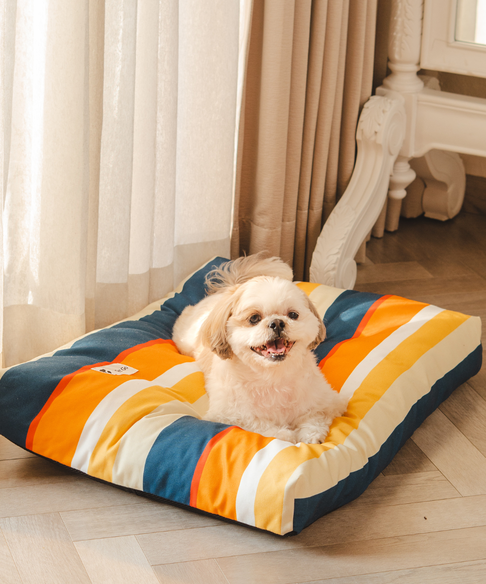 アウトドア寝具 DOG COT ND ver RETRO STRIPE WHAT WE WANT DOG COT ND アウトドア寝具 DOG COT ND ver RETRO STRIPE WHAT WE WANT DOG COT ND