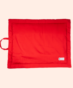 Coloured Pet Mat