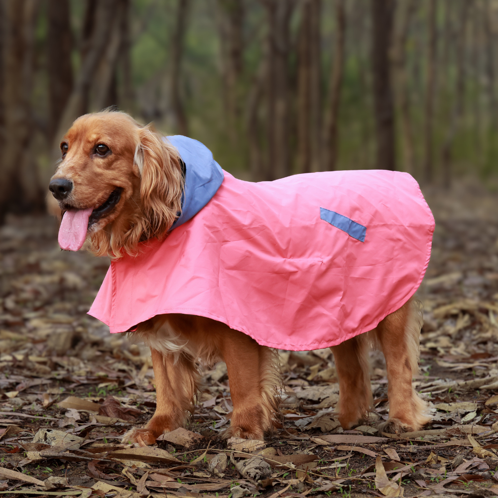 Dual Colour Cape Dog Raincoat Red – Pet Set Go