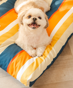 Sunny Stripes Flat Dog Bed