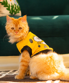 Sponge bob Cat T-shirt