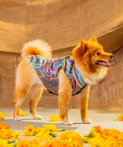 Dog Kurta with Pocket Square Neelam